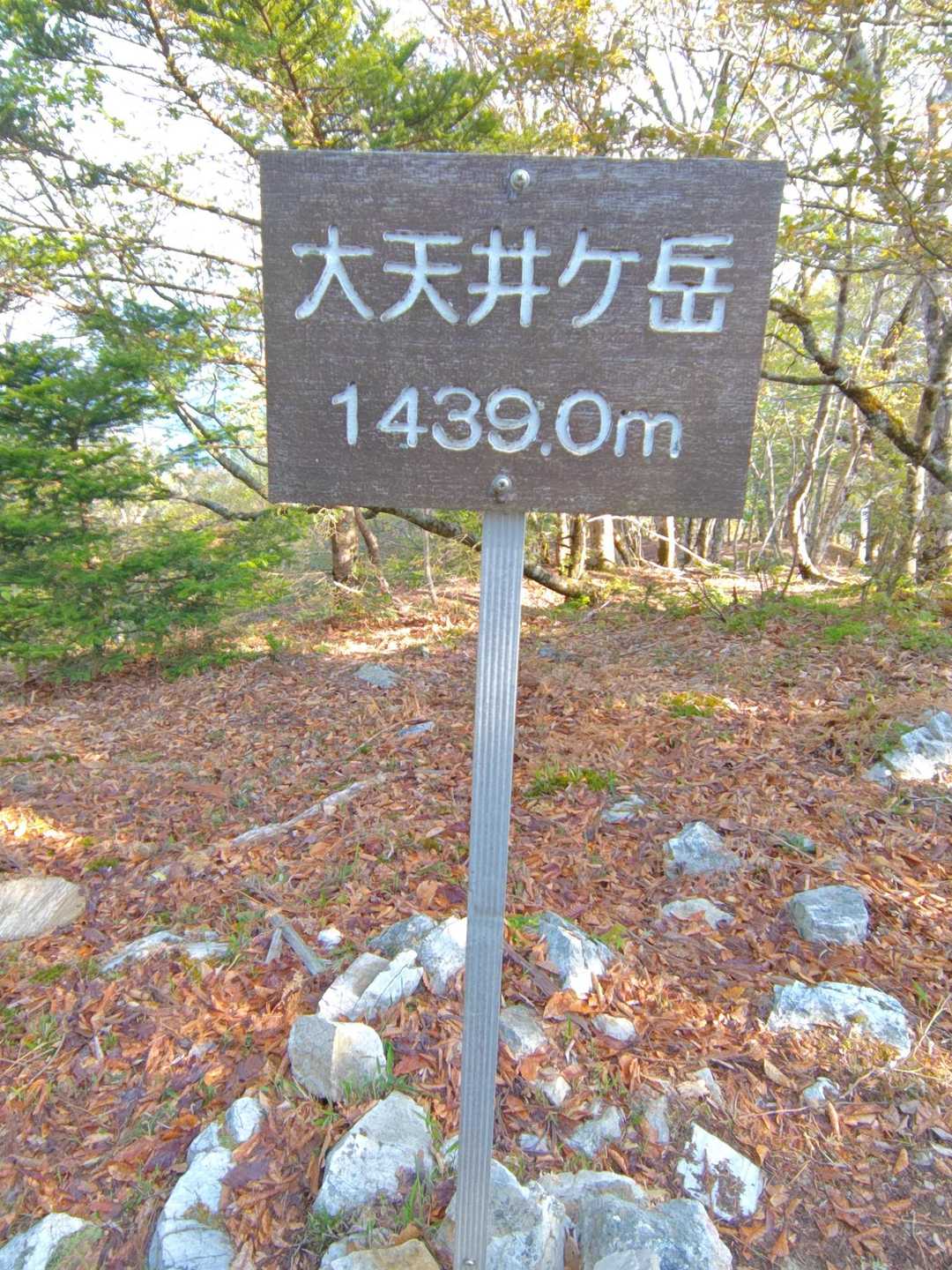 山頂標識🪧