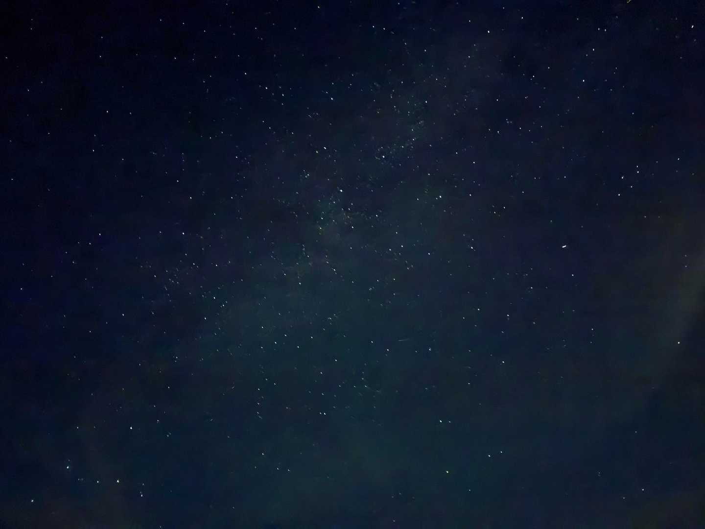 一眼ないのが悔やまれる…