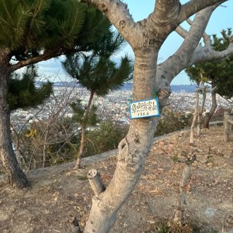 ごめんなさい。何と読むのか分かりません。