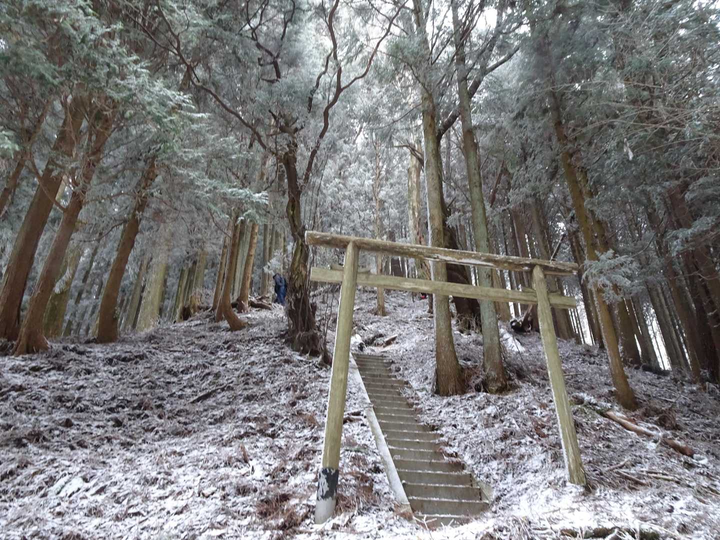 高見山登山口-高見峠-高見山 縦走コースの写真