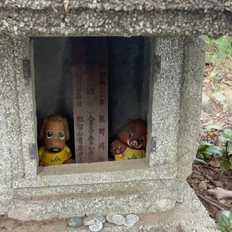 名無しピークにあった小さな祠。中にはイノシシさん🐗とワンちゃん🐶