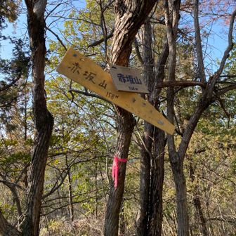 最後の山　赤坂山