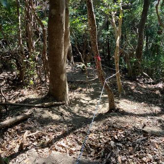 写真じゃ分からないけど、激下りで恐いんだけど。流石のモンベルの靴でも滑るんだけど
雨降り後は、無理無理