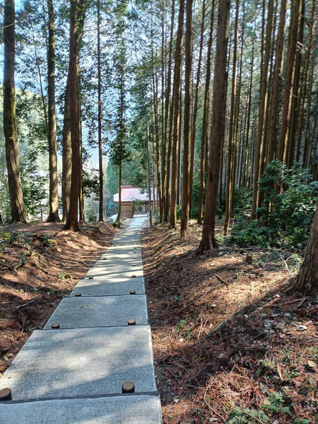 神社の山門が見えています。
