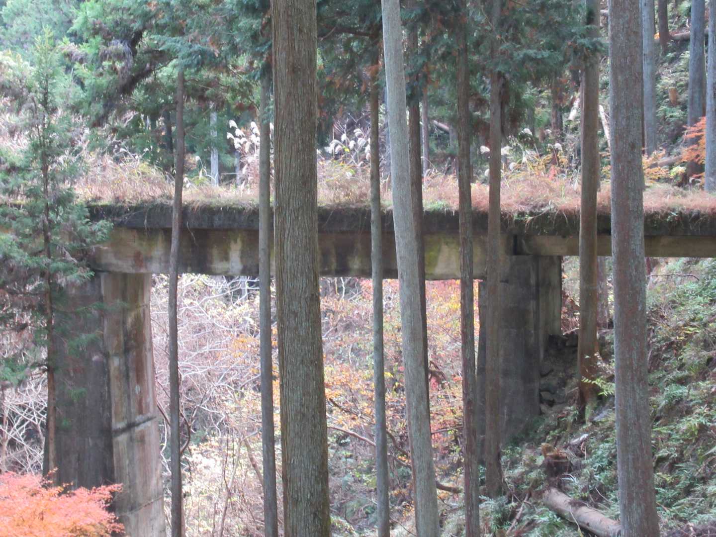 廃線された水根貨物線