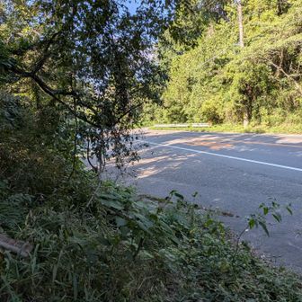 下山です🍃駐車場まで戻ってきた〜