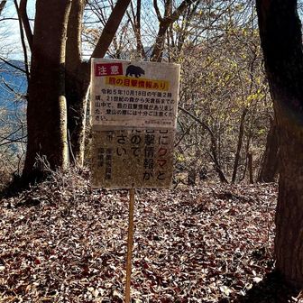注意⚠️熊の目撃情報あり🐻
