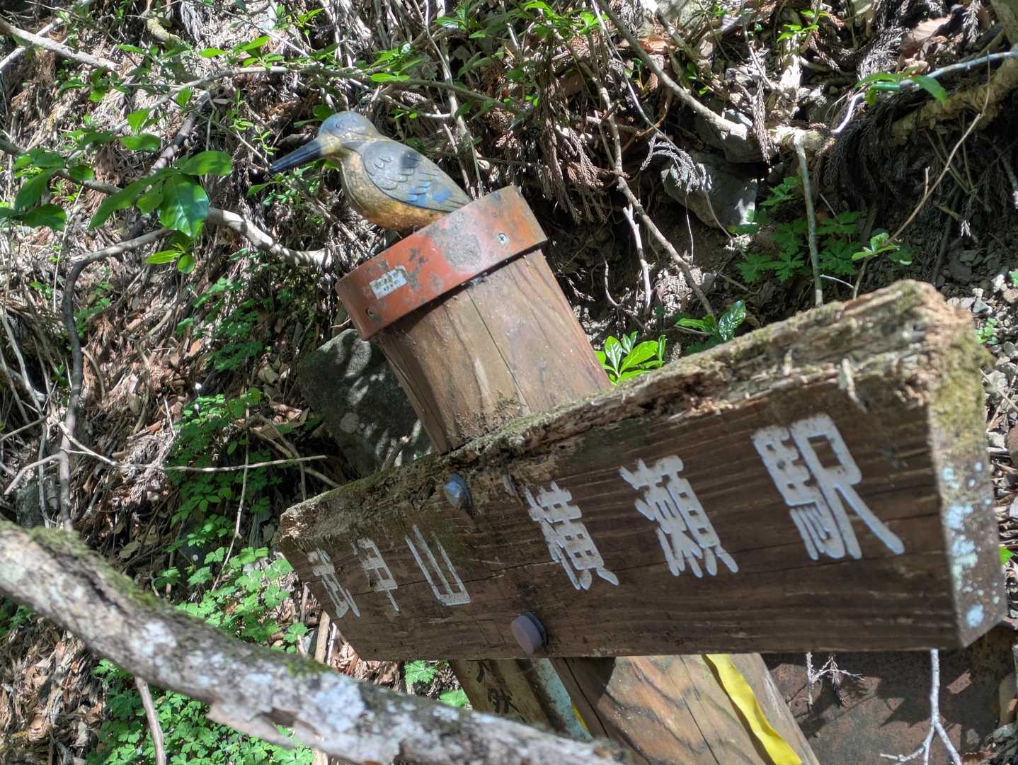 一ノ鳥居-武甲山-子持山-大持山-妻坂峠 周回コースの写真