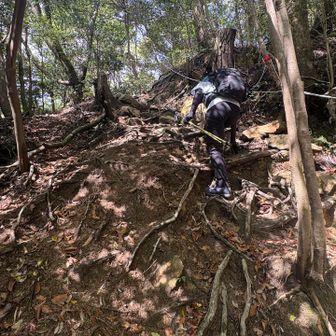 ラストの再度山の上り、辛かった🫠
