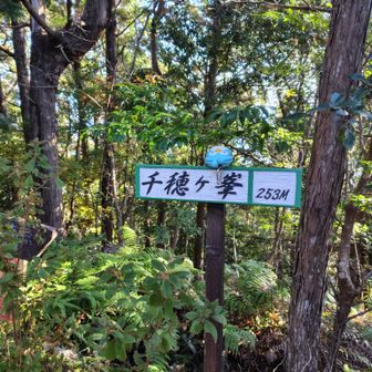 せっかくなので、神倉神社の背後に連なる千穂ヶ峰へ
高度はあまりないが、結構歩き応えあり