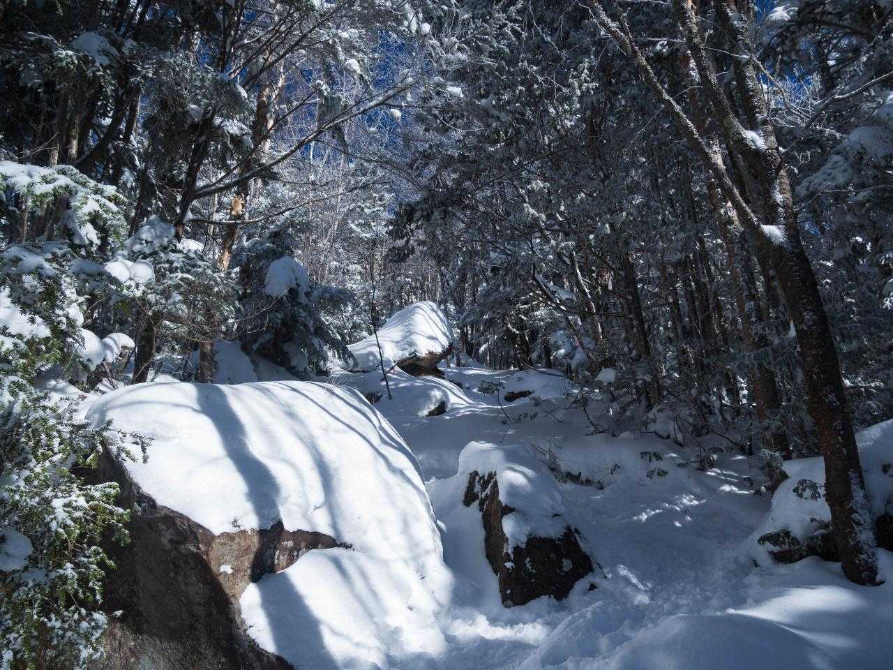 傾斜が強くなってきた