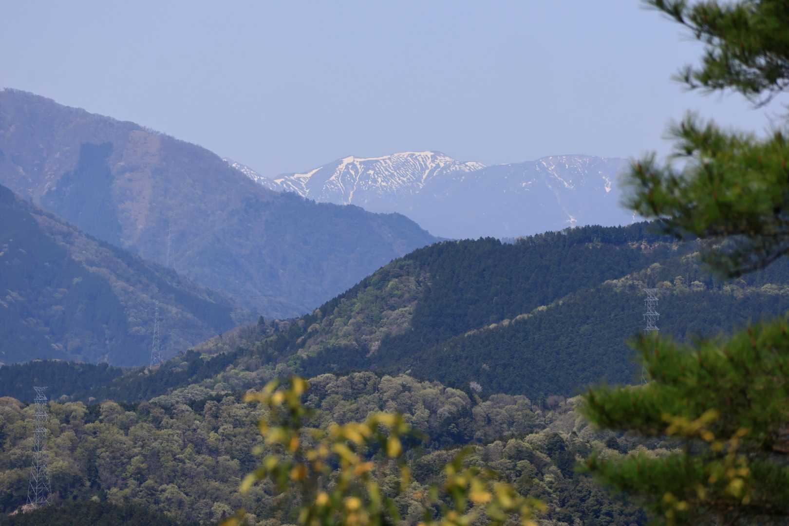 能郷白山の残雪のゼブラ模様がくっきり見えました。