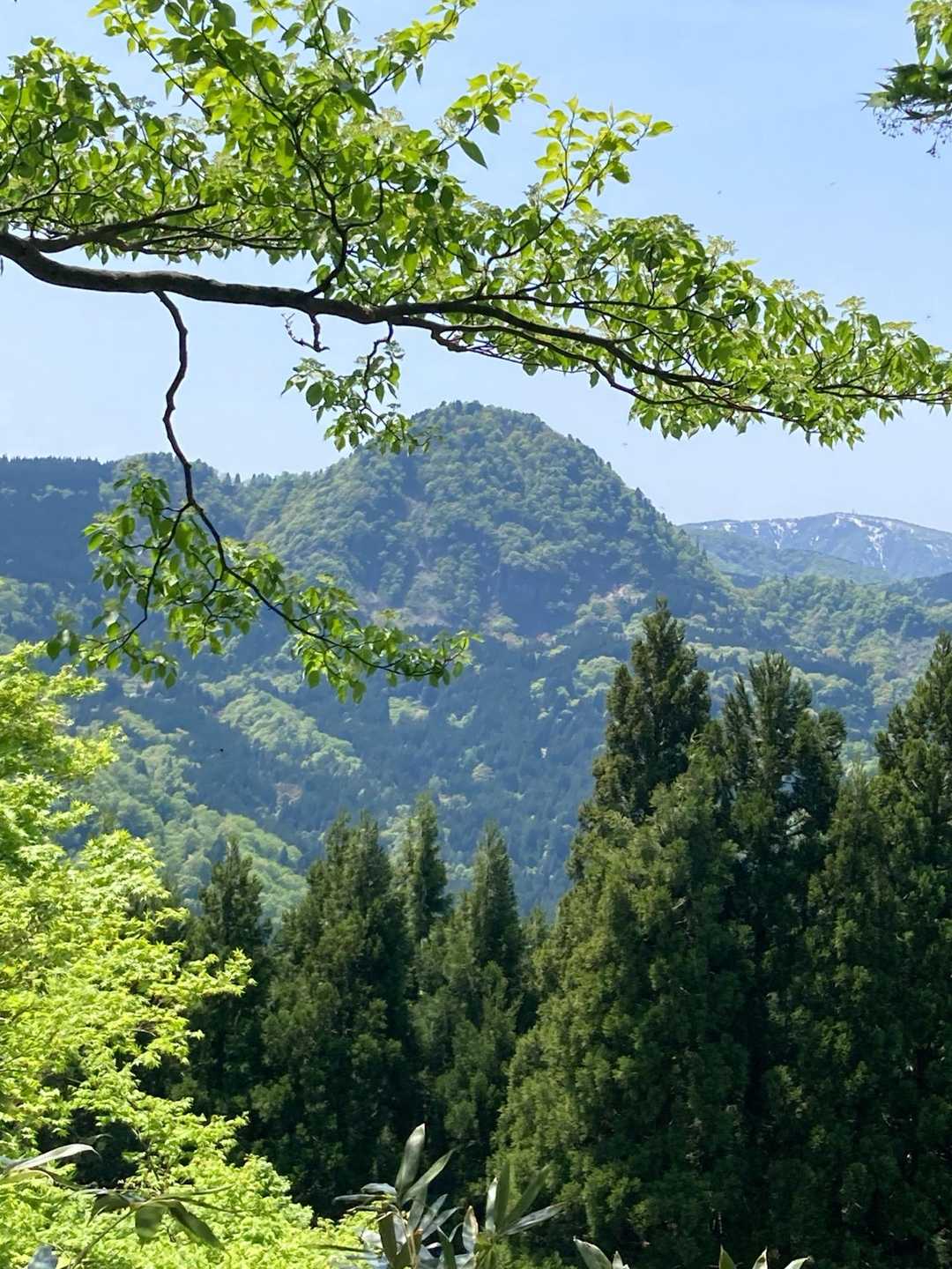 夫婦山-夫婦山 往復コースの写真