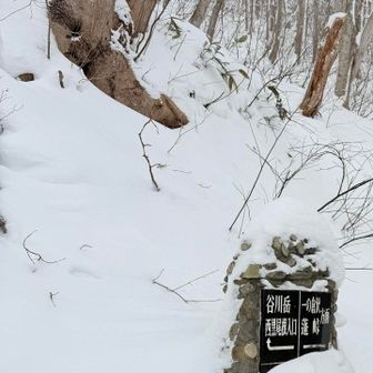 冬は初の西黒尾根、行けるか不安に思いながらINしました。