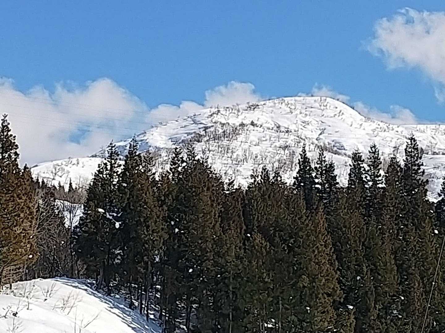 大力山いい山だった～