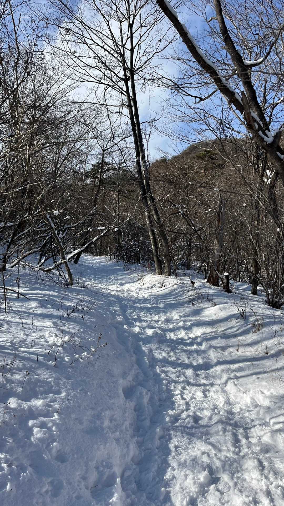 この辺は緩やかな坂で歩きやすいです