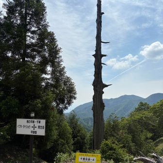 杉峠
下ったり登ったり😭