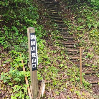 では登山スタート‼️
いきなり階段😱
