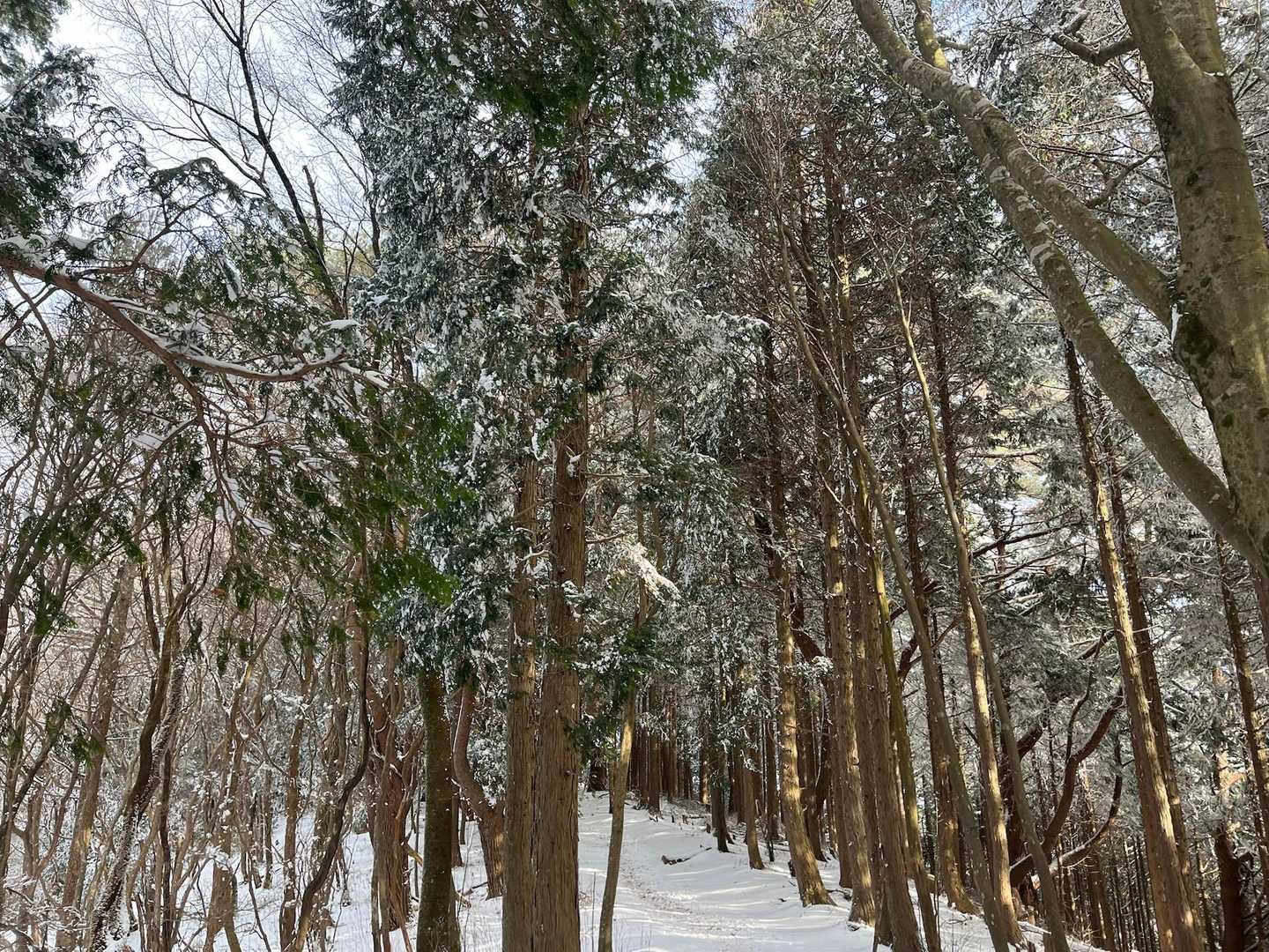 朝日が差して明るくなりました✨