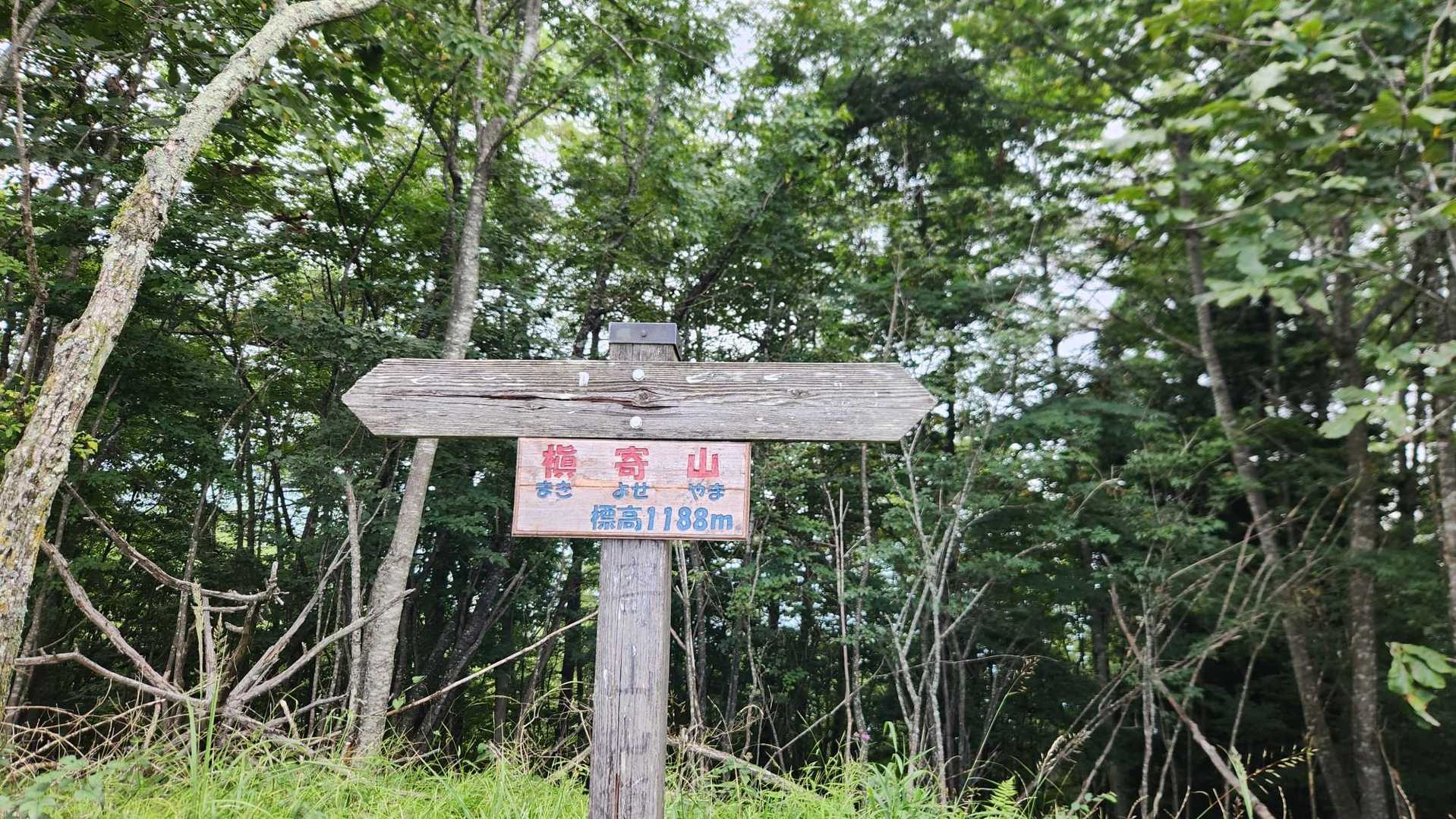 登頂です😄
1188（イイパパ）