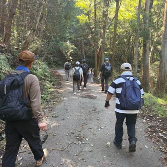 ここから林道歩き🚶‍♀️
今回初参加のテンダさんは身軽で凄かった😁