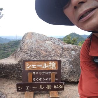 ついでにここも登攀。子供さんが沢山降りて来られた。岩場でアスレチック感満点。