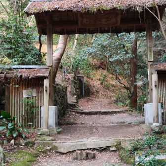 二上山(祐泉寺尾根) / えむじぃさんの金剛山・二上山・大和葛城山の