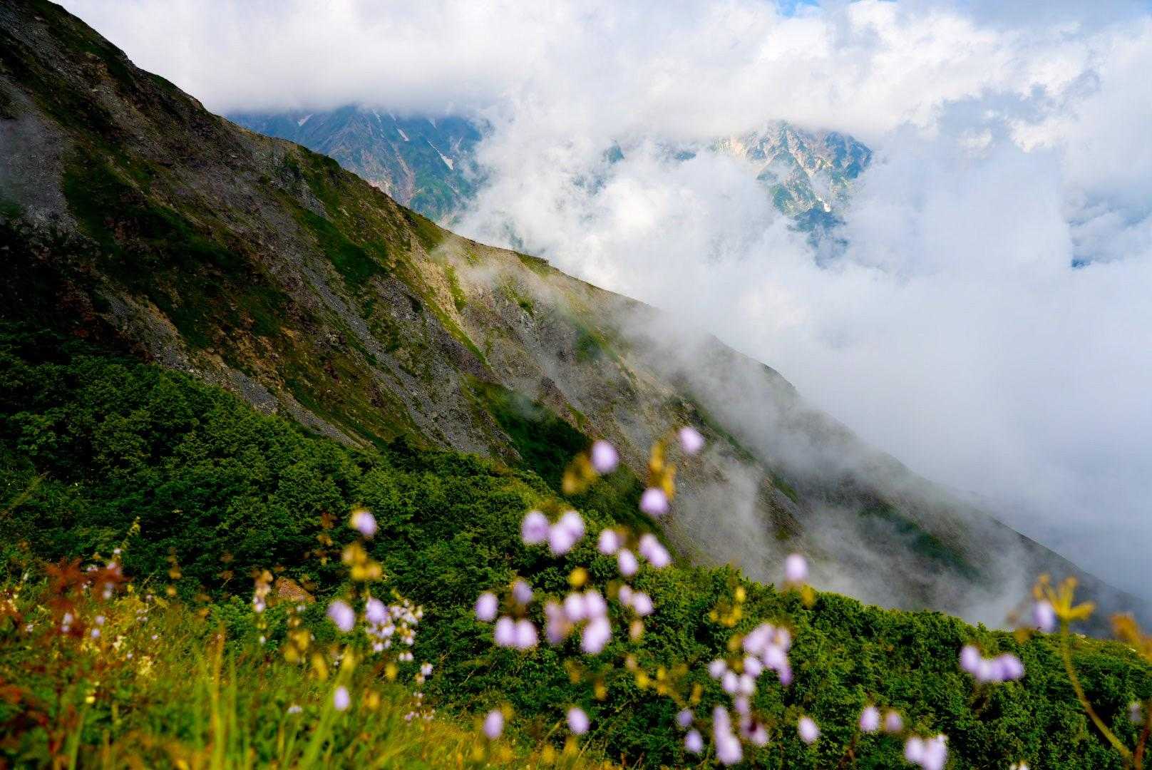 天狗の頭-不帰嶮-唐松岳-丸山ケルン-扇雪渓-八方池-八方 縦走コースの写真