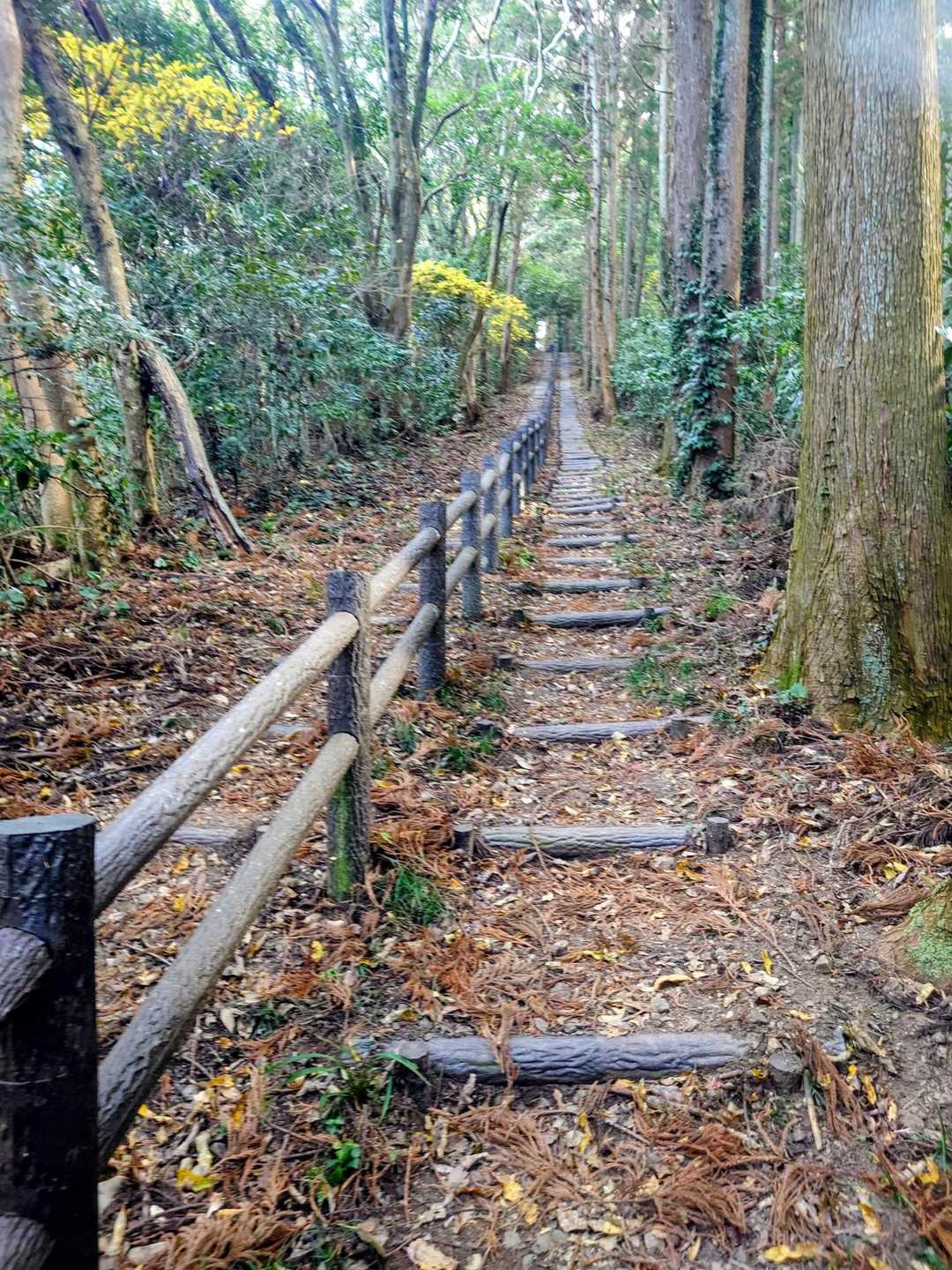 大日山への階段