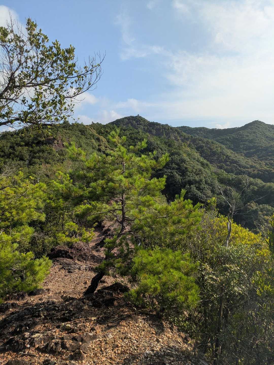 先に聳えている山かな？