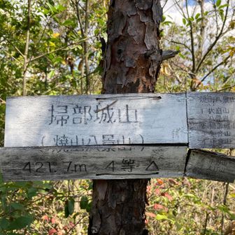 ラスボス・掃部城山ｷﾀ━(ﾟ∀ﾟ)━!　
かもんじょうやま、と読むらしいです