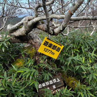 新山頂