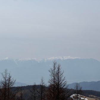 わけわからんのに写メ撮りまくりました💦