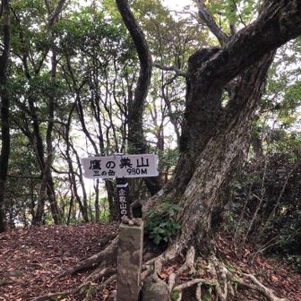 三ノ岳980M🤟鷹の巣山へ登頂🦅