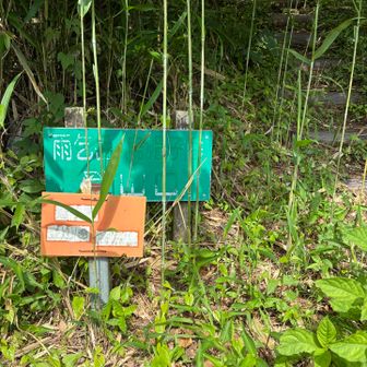 直ぐに登山口が有ります