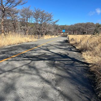 ここからは舗装路で駐車場へ向かいます。