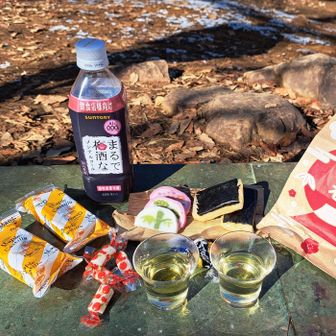 プチ新年会🎍
年末にノンアル梅酒を飲んだら薄めて飲むのだったらしく
原液が濃く飲めませんでした😄
今日はお湯割りで😄
ソーダー割りがいいようです🍷🎶⤴️
