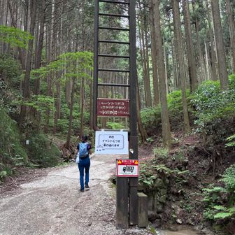 本日はイベントの為に車が通ります。
狭いガタガタの道を車が沢山通りました。