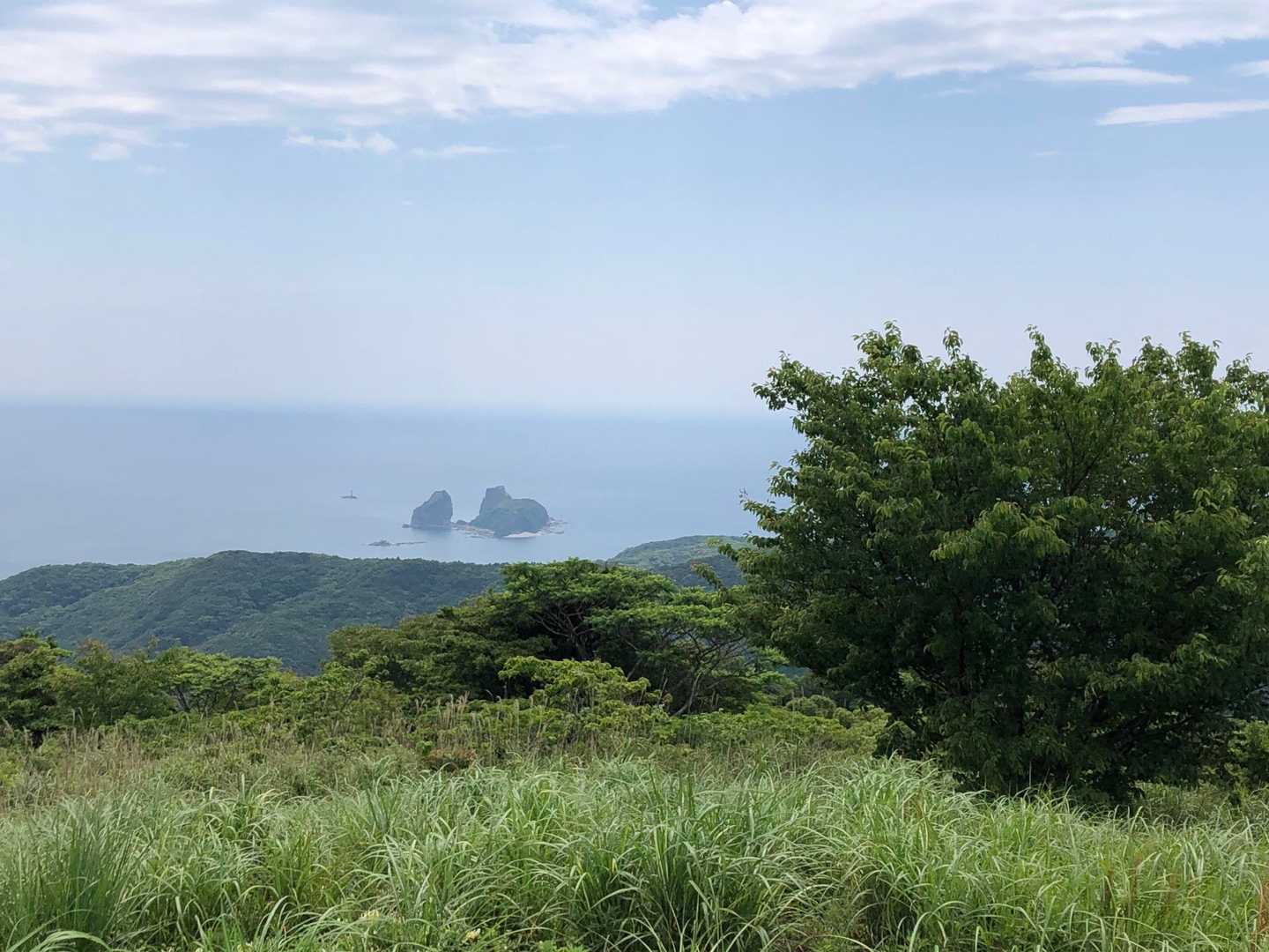 展望台から🐈