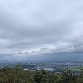 雨が降っているのが見える…