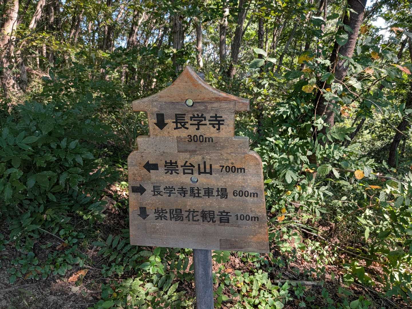 いいなぁ〜、この標識🪧