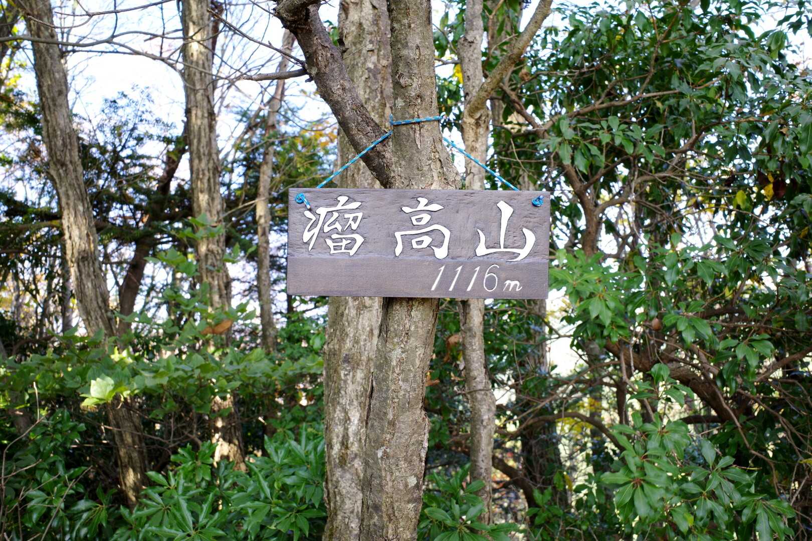 瘤高山の写真