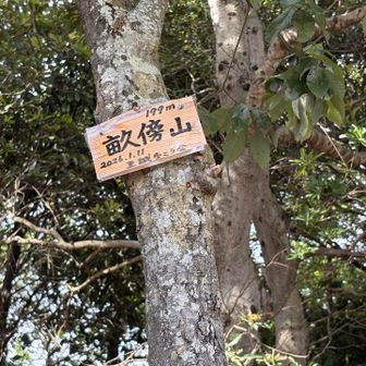 山頂まで急登が続き汗だく💦

下山後、予定より遅くなったのでバスで駐車場近くまで戻ることにしました😅