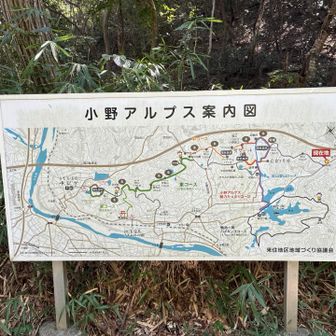 ランチの予約時間に下山😅
ラストオーダーに間に合うように急ぎます🏃‍♀️