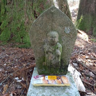 一緒にお昼にしますか どうぞお召し上がりください 🙏