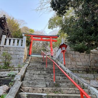 石段を元気よく