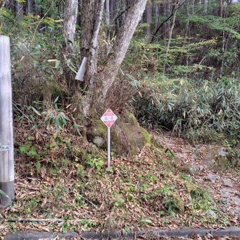 林道一ノ瀬線は3月24日までおいらん淵側からは道路工事の為全面通行止めで入れないので高橋側から入りました作場平駐車場を利用して登山道入口から登ります