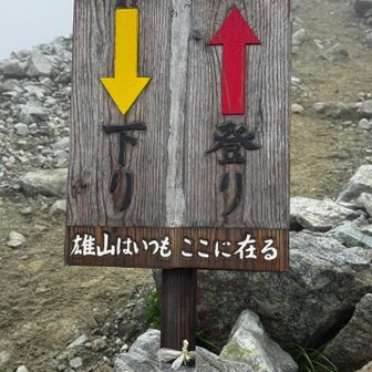 🔴コースで
登ります⤴️