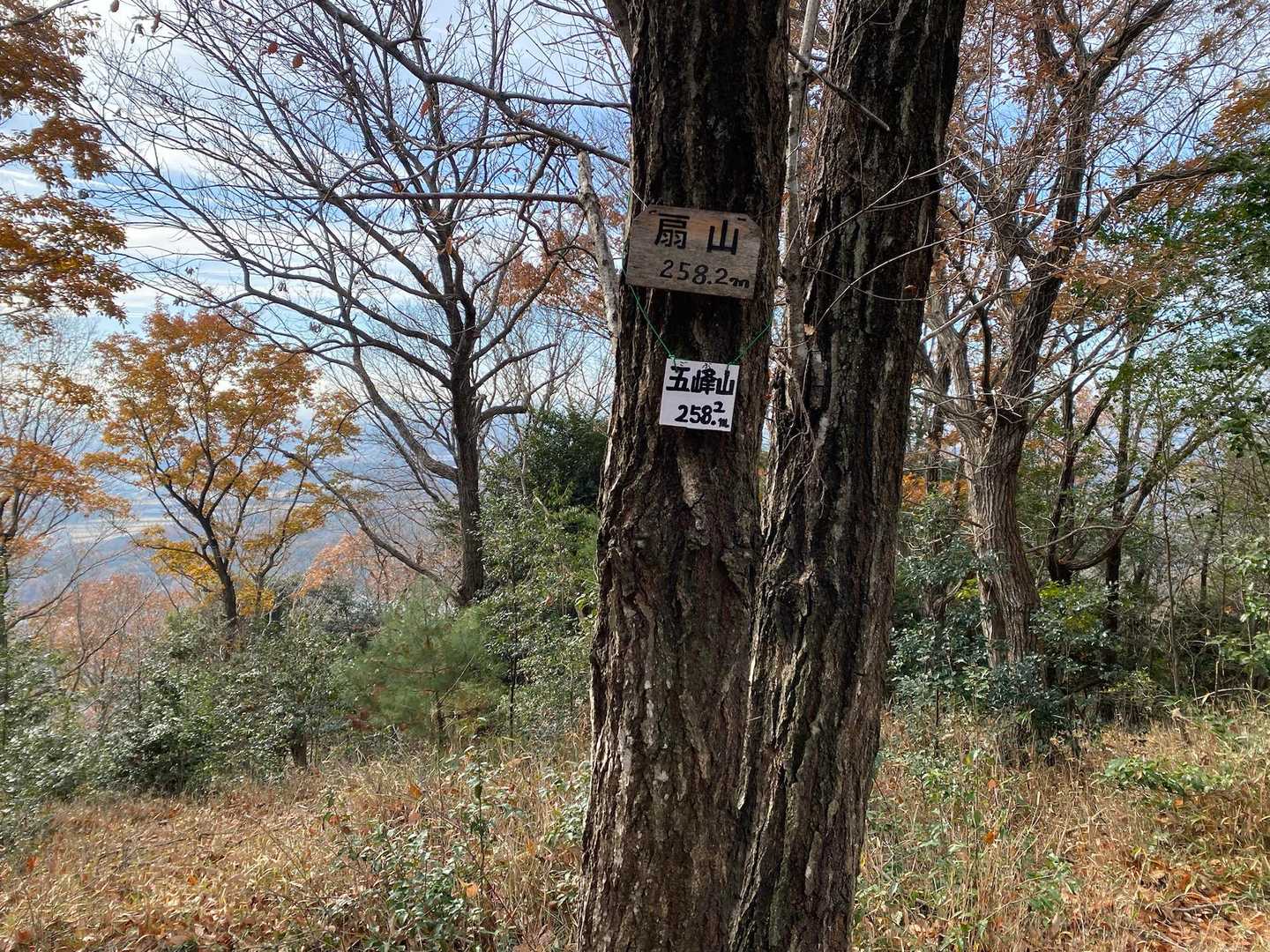 五峰山-角尾山 周回コースの写真