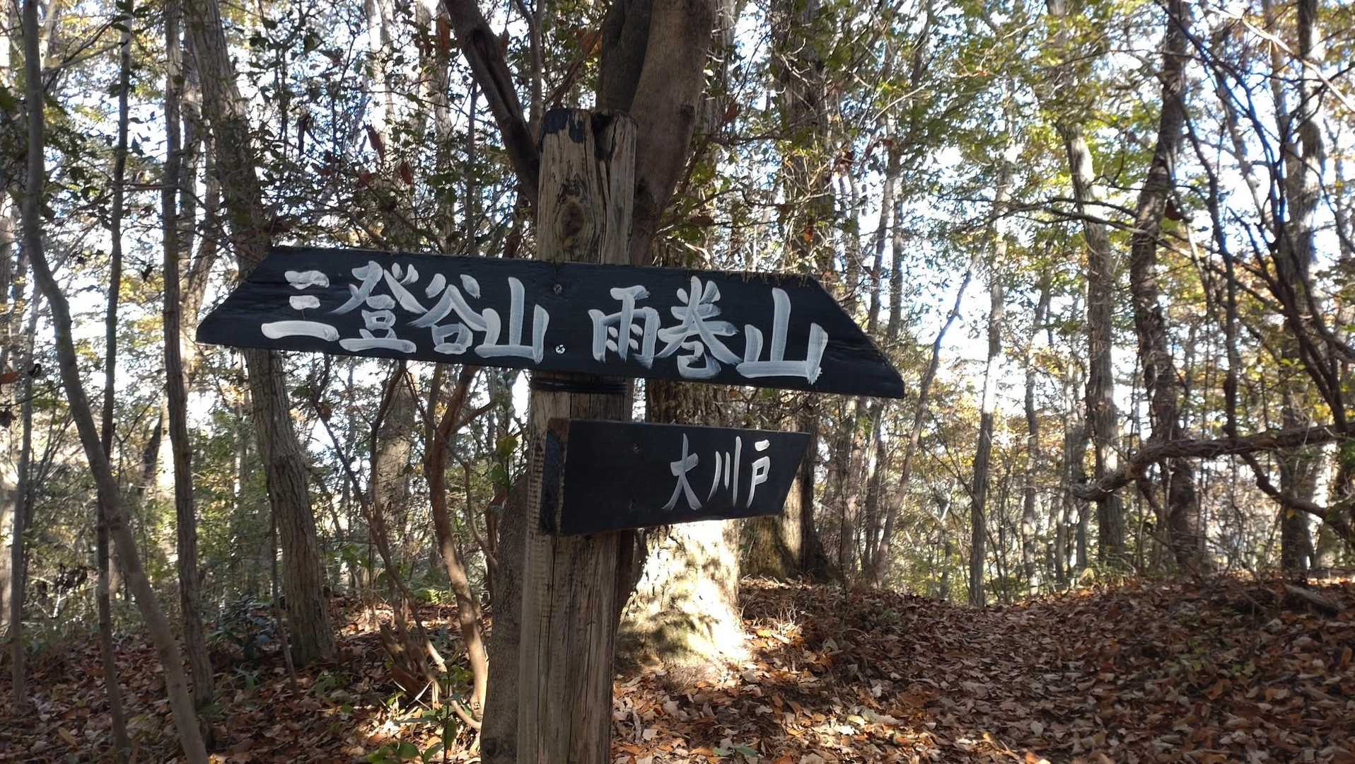 大川戸登山口-大川戸鉱泉跡-雨巻山 往復コースの写真